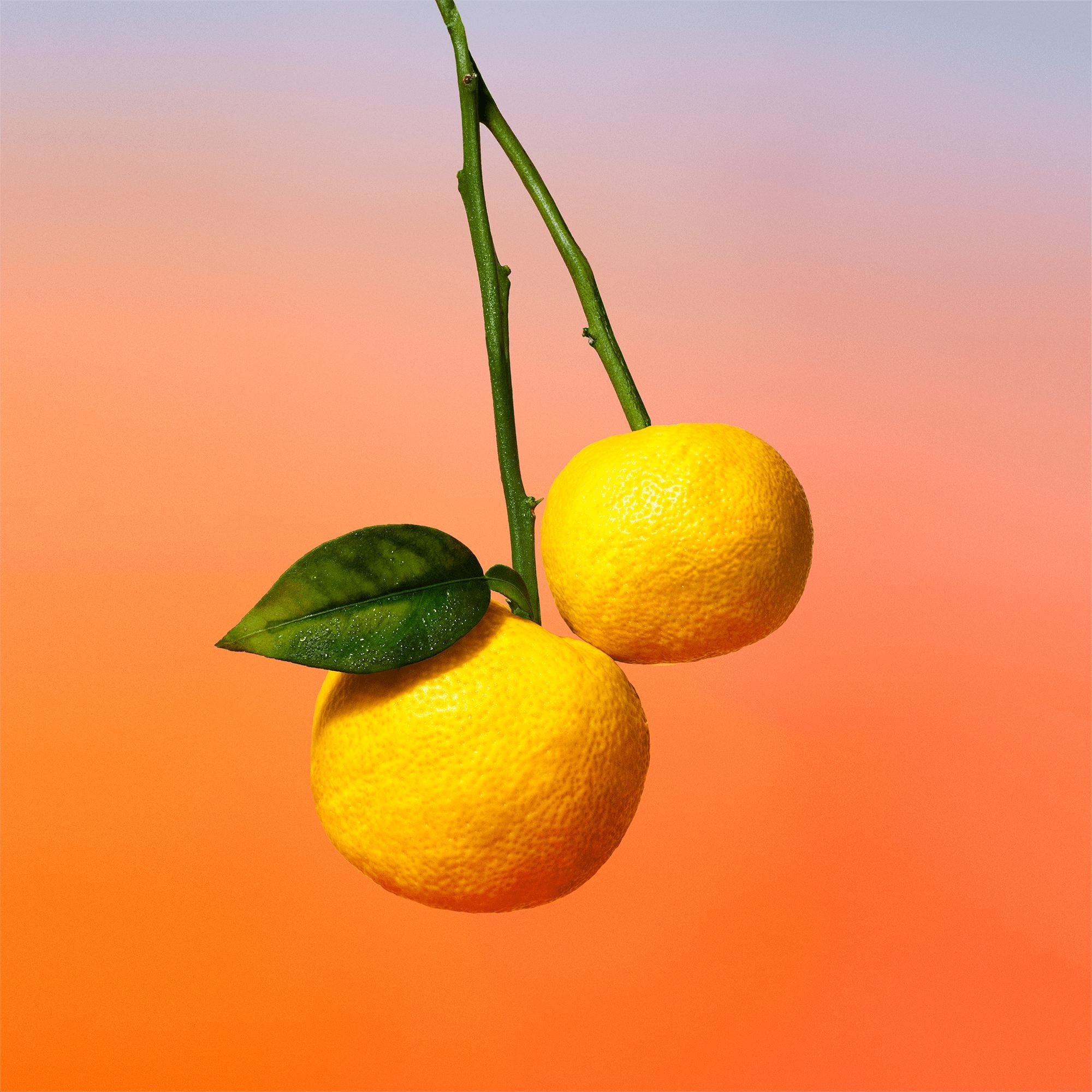 Perfume On the Beach - Coleções | LOUIS VUITTON ®